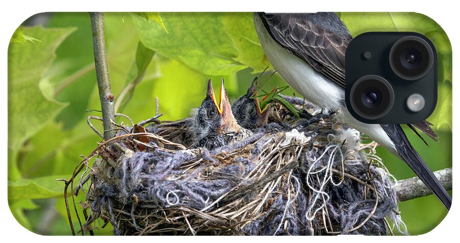 Bird iPhone Case featuring the photograph Kingbird Nest by Art Cole