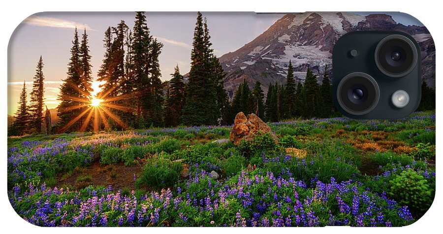 Mount Rainier National Park iPhone Case featuring the photograph Kissed By the Paradise Sun by Dan Mihai