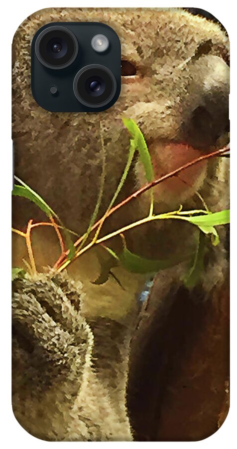 Koala iPhone Case featuring the photograph Koala by Bill Barber