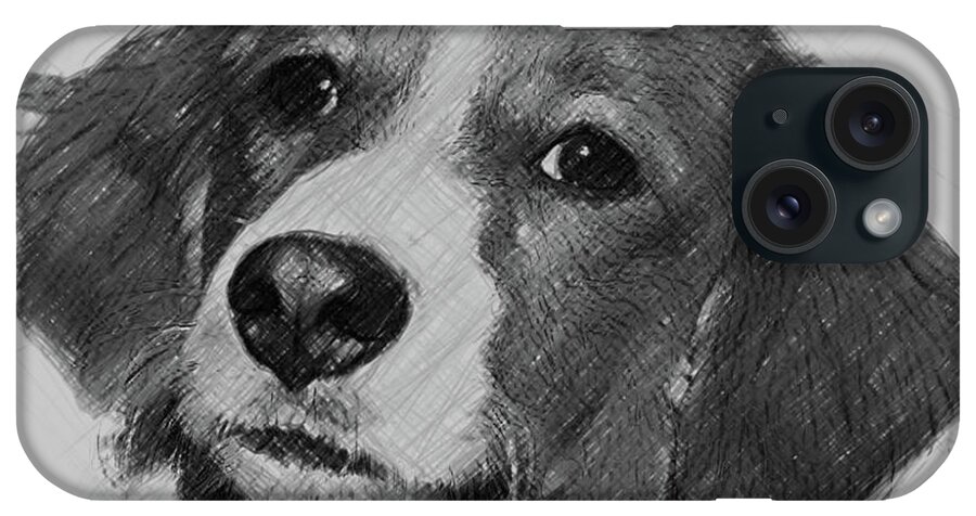 Kooikerhondje iPhone Case featuring the digital art Kooikerhondje Dog by Bob Smerecki