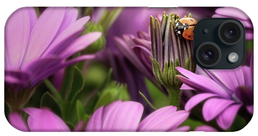 Dallas Arboretum iPhone Case featuring the photograph Lady B In Purple by Ann Skelton