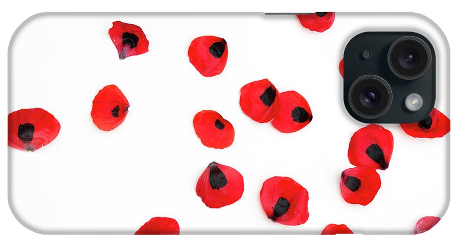 Petals iPhone Case featuring the photograph Ladybird Poppy Petals by Tim Gainey