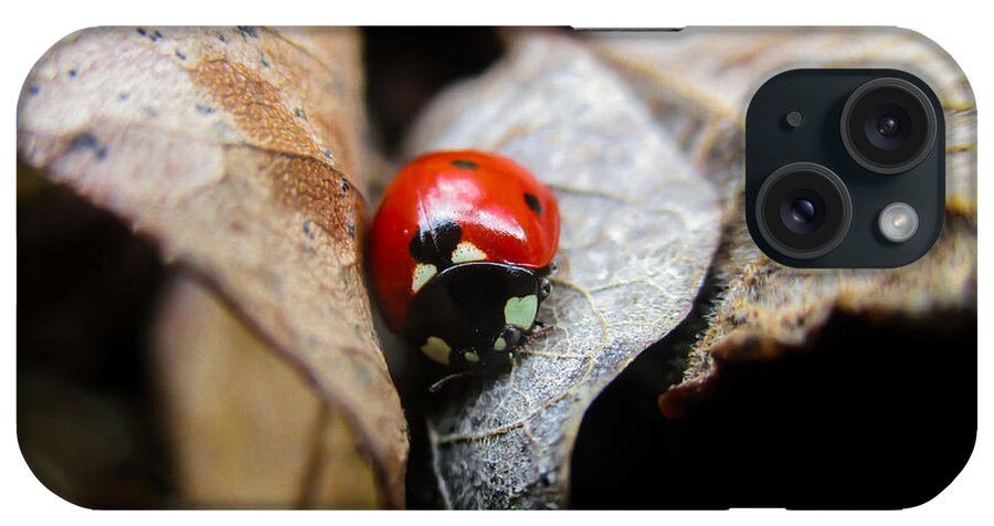 Coccinellidae iPhone Case featuring the photograph Ladybug Among Leaves by W Craig Photography