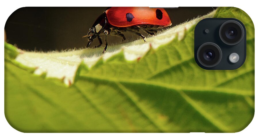Ladybug iPhone Case featuring the photograph Ladybug on a leaf by Naomi Maya
