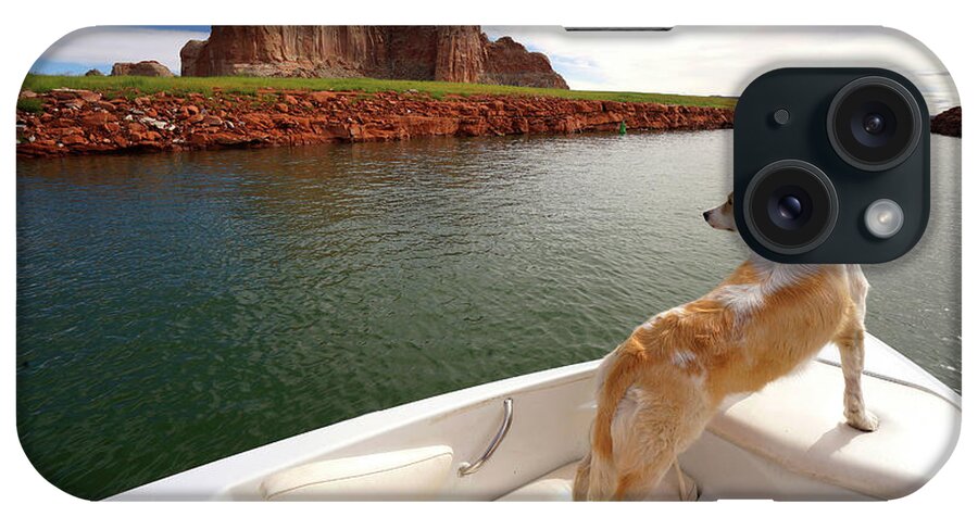 Dog In Boat iPhone Case featuring the photograph Lake Powell Dog in Boat by Rick Wilking