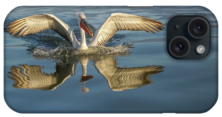 Animal iPhone Case featuring the photograph Landing pelican - Lake Kerkini by Jivko Nakev