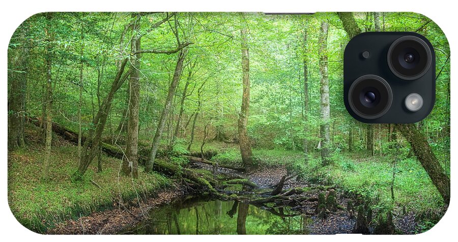 Forest iPhone Case featuring the photograph Late Summer in the Forest by Bob Decker