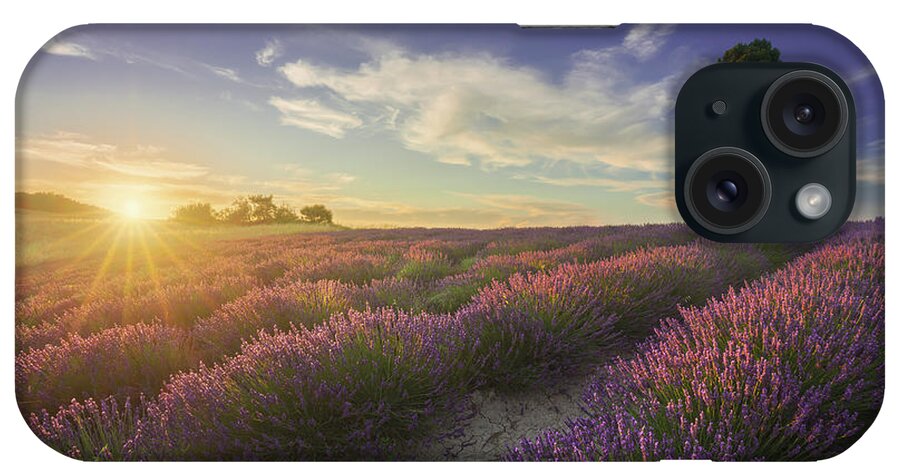 Lavender iPhone Case featuring the photograph Lavender fields and tree at sunset. Tuscany by Stefano Orazzini