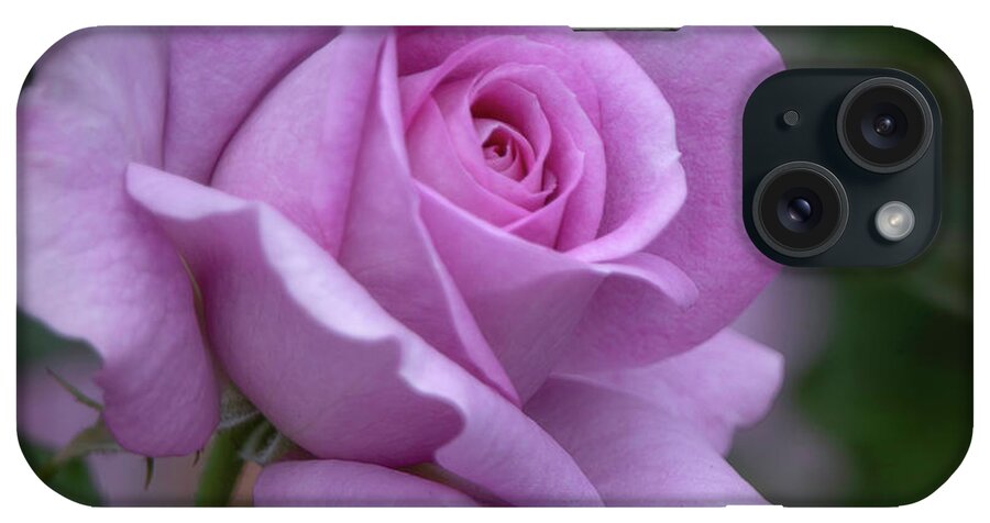 Rose iPhone Case featuring the photograph Lavender Rosebud Square by Teresa Wilson