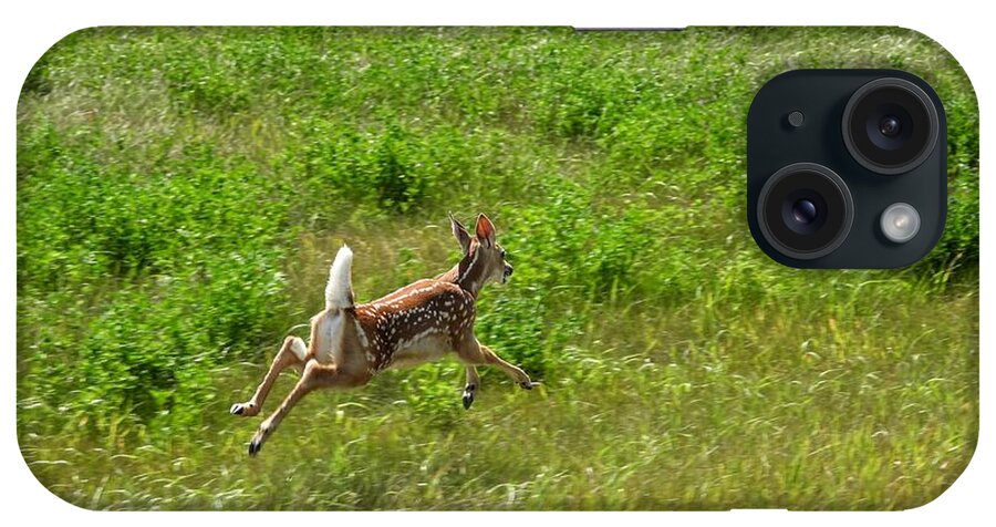 Fawn iPhone Case featuring the photograph Leaps and Bounds by Amanda R Wright