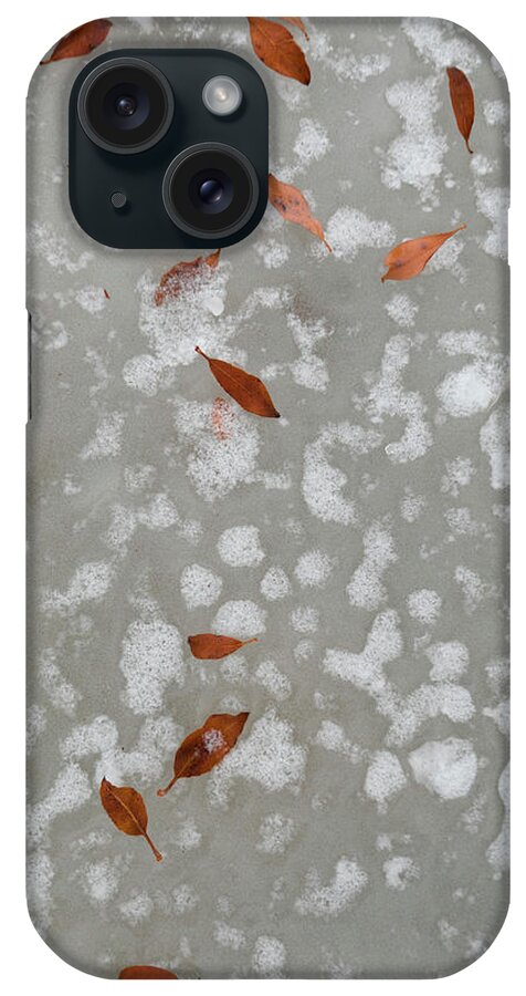 Leaves iPhone Case featuring the photograph Leaves On Winter Ice by Phil And Karen Rispin