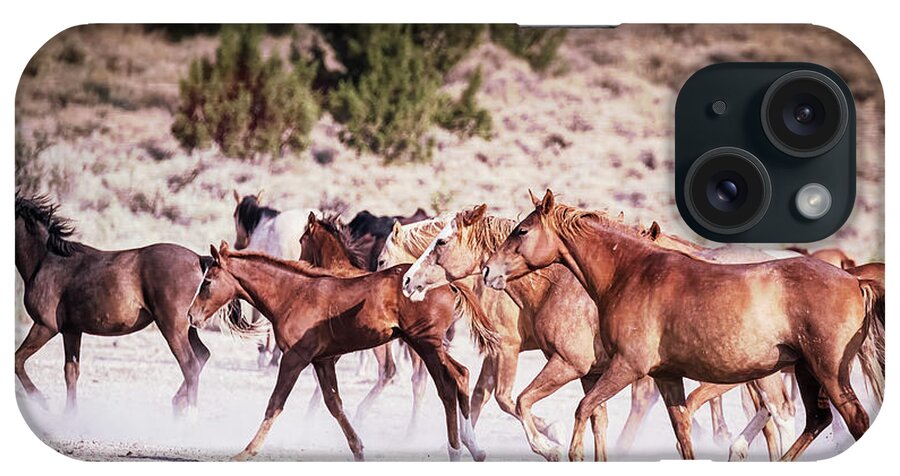 Wild Horses iPhone Case featuring the photograph Leaving the Waterhole - Palomino Butte Herd by Belinda Greb