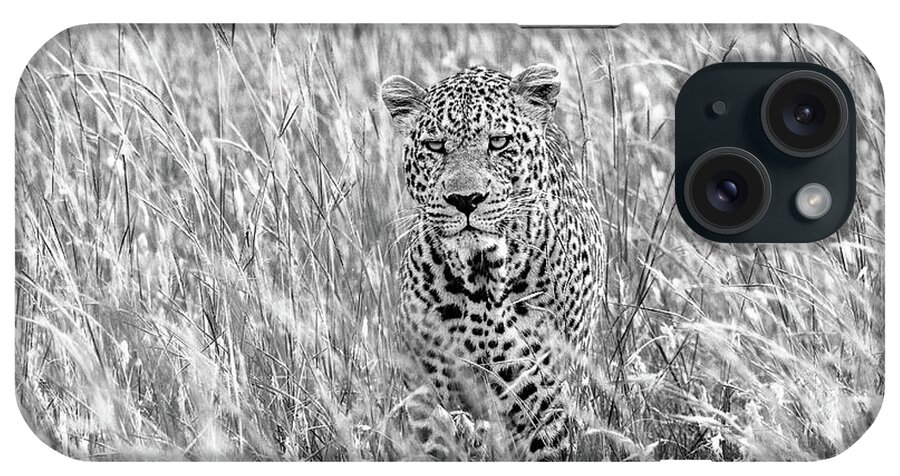 Africa iPhone Case featuring the photograph Leopard Among the Grasses by Eric Albright