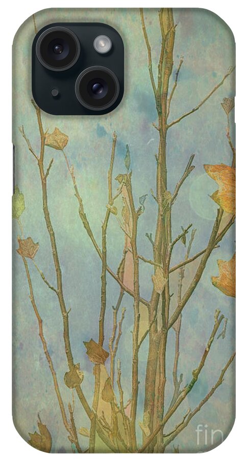 Autumn iPhone Case featuring the photograph Letting Go of Autumn 2 by Elaine Teague