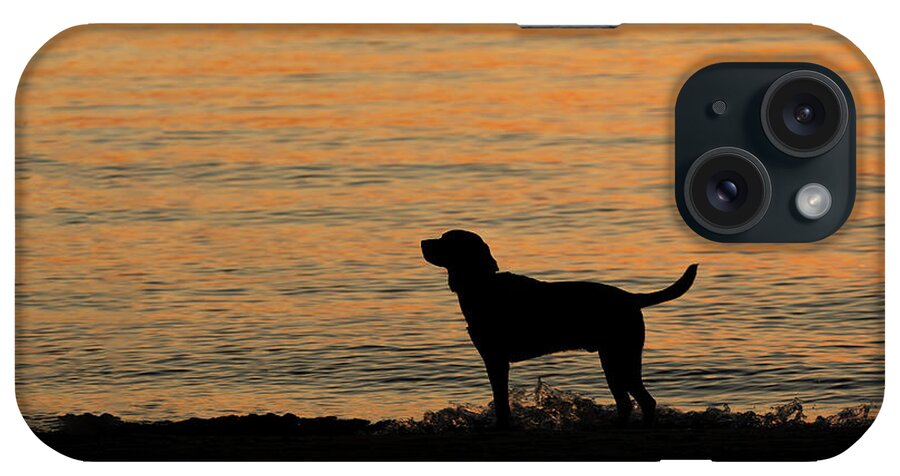Dog iPhone Case featuring the photograph Levi Dog Silhouette on the Beach by Denise Kopko