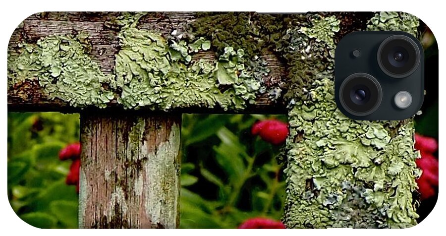 Lichen iPhone Case featuring the photograph Keeping Company With Lichen by Alida M Haslett