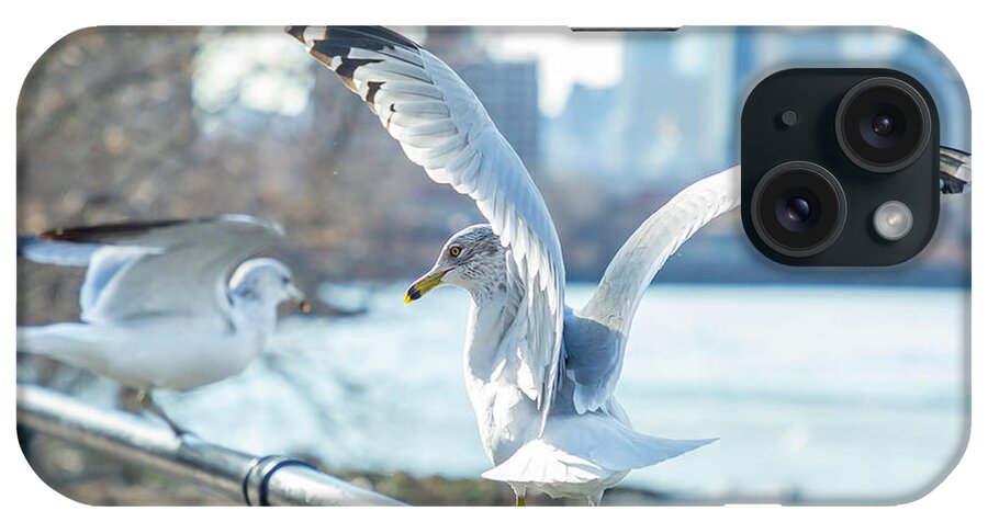 Seagull iPhone Case featuring the photograph Lift Off by Cate Franklyn