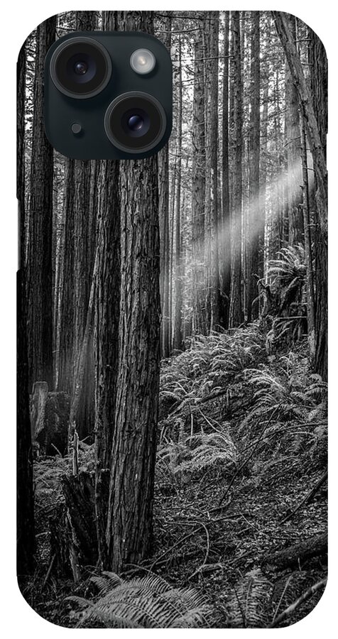 Beams iPhone Case featuring the photograph Light beam through forest by Mike Fusaro