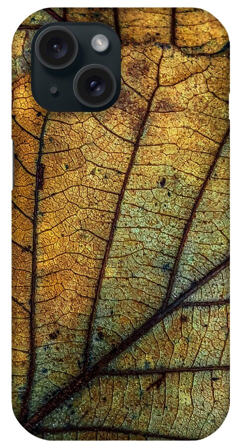 Leaf iPhone Case featuring the photograph Like Stained Glass by Cate Franklyn