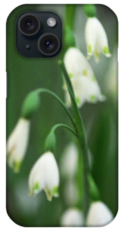 Lillies iPhone Case featuring the photograph Lillies by Harold E McCray