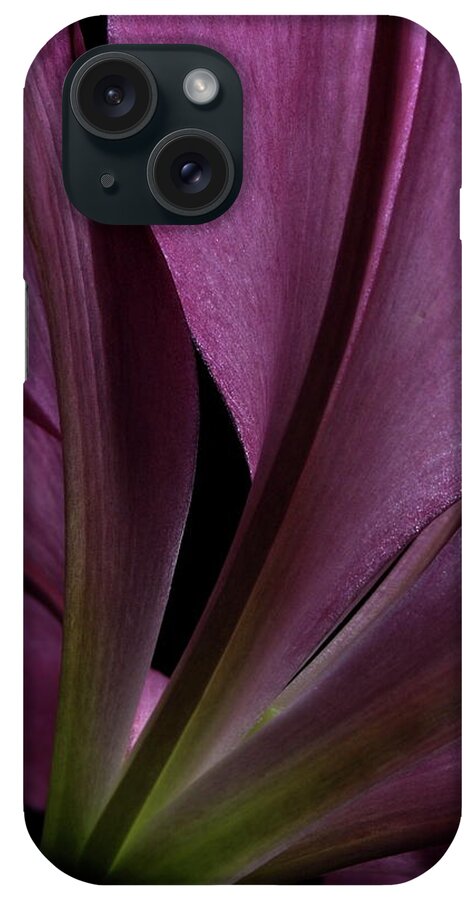 Botanical iPhone Case featuring the photograph Lily 4148 by Julie Powell