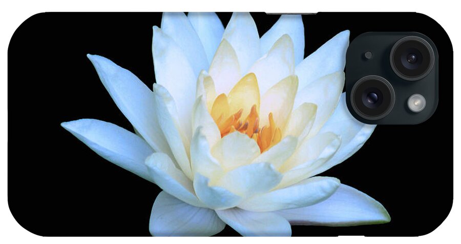Water Lily; Water Lilies; Lily; Lilies; Flowers; Flower; Floral; Flora; Yellow; White Water Lily; White Flowers; Black; Photography; Painting; Simple; Decorative; Décor; Macro; Close-up iPhone Case featuring the photograph Lily Glow by Tina Uihlein