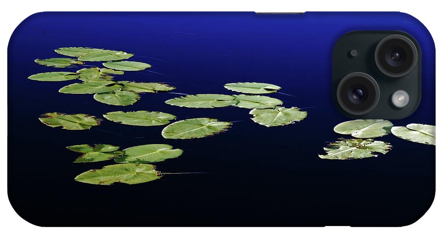 Lily iPhone Case featuring the photograph Lily Pads Floating On River by Debbie Oppermann