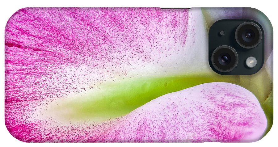 Lily iPhone Case featuring the photograph Lily Petal Macro Abstract by Stuart Litoff