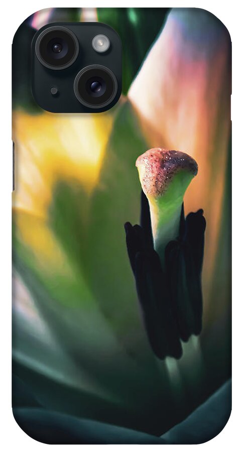  iPhone Case featuring the photograph Lily Pistol Blue by Gena Herro