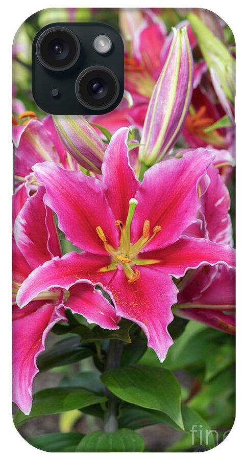 Lily iPhone Case featuring the photograph Lily Sunny Martinique Flowers by Tim Gainey