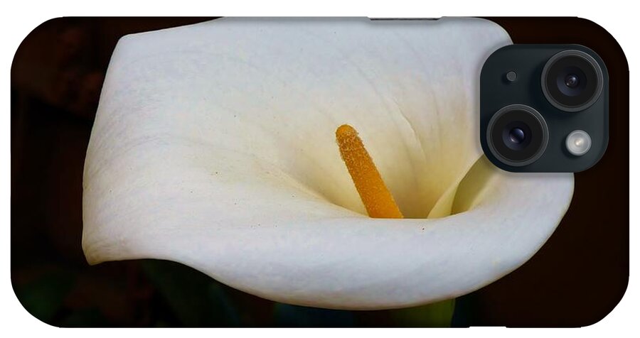 Callas iPhone Case featuring the photograph Lily White by Rosanne Licciardi