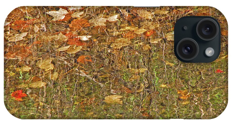  Water iPhone Case featuring the photograph Limpid Leaf Pool 4 by Lynda Lehmann