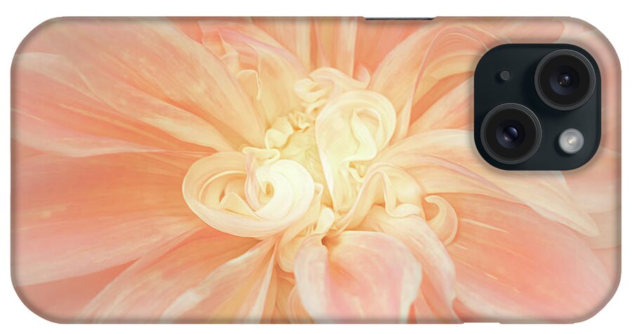 Dahlia iPhone Case featuring the photograph Lines and Curves of a Dahlia by Sylvia Goldkranz