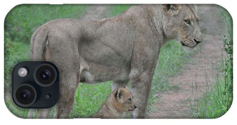 Lion iPhone Case featuring the photograph Lioness and Cub on the Road by Rebecca Herranen