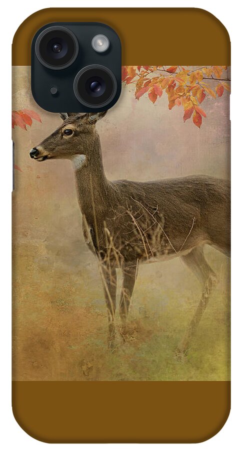 White-tail Deer iPhone Case featuring the photograph Little Miss White Tail by Jill Love