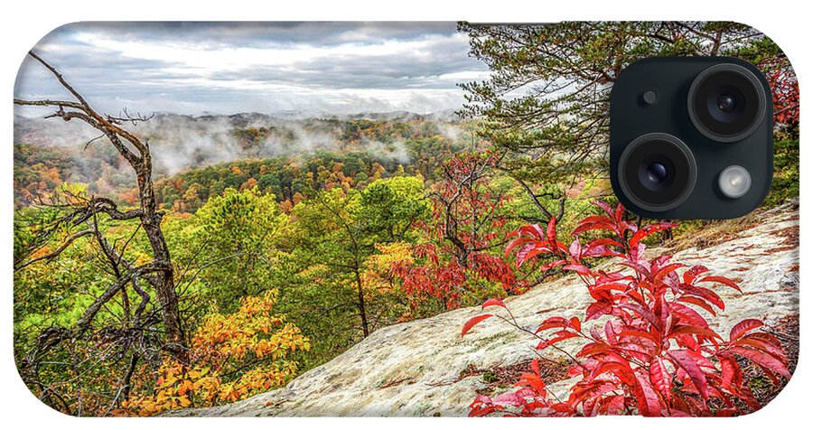 Daniel Boone National Forest iPhone Case featuring the photograph Little Red by Ed Newell