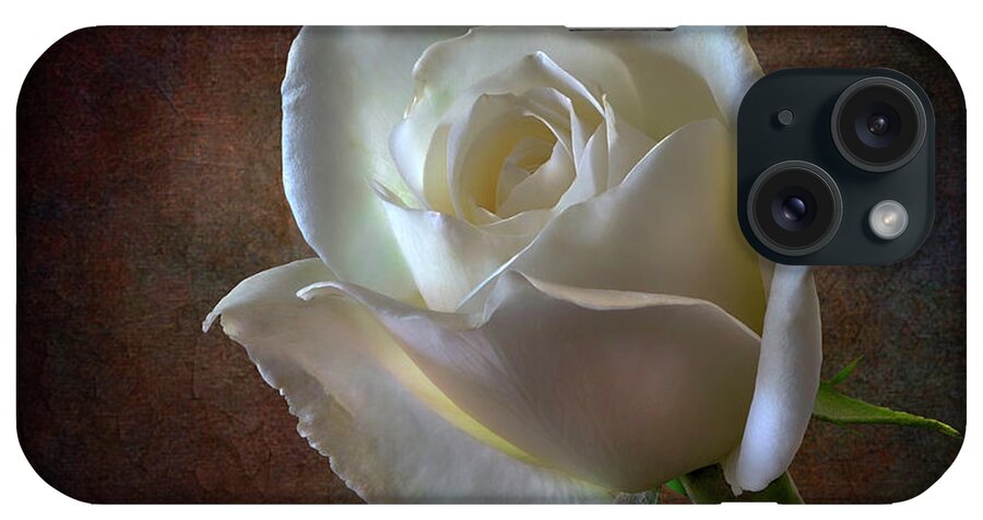 White Rose iPhone Case featuring the photograph Little White Rose 2 by Endre Balogh