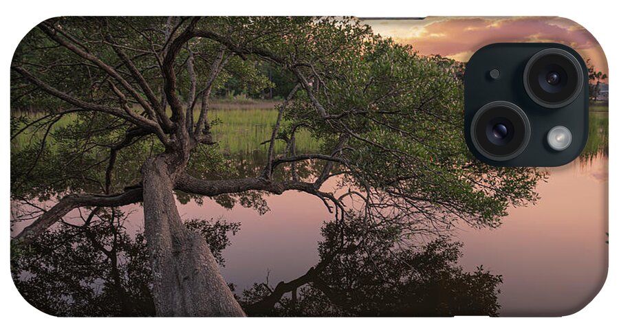 Sunset iPhone Case featuring the photograph Live Oak Tree over the Salt Marsh - High Tide by Dale Powell