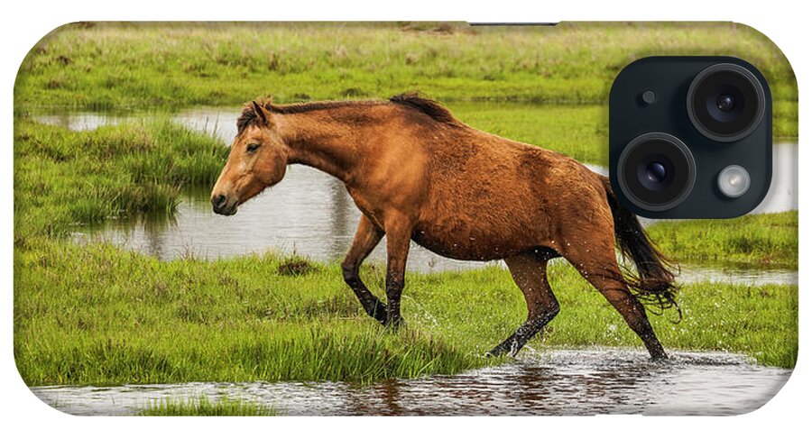 Assateague iPhone Case featuring the photograph Liz's Serenity by Dale R Carlson