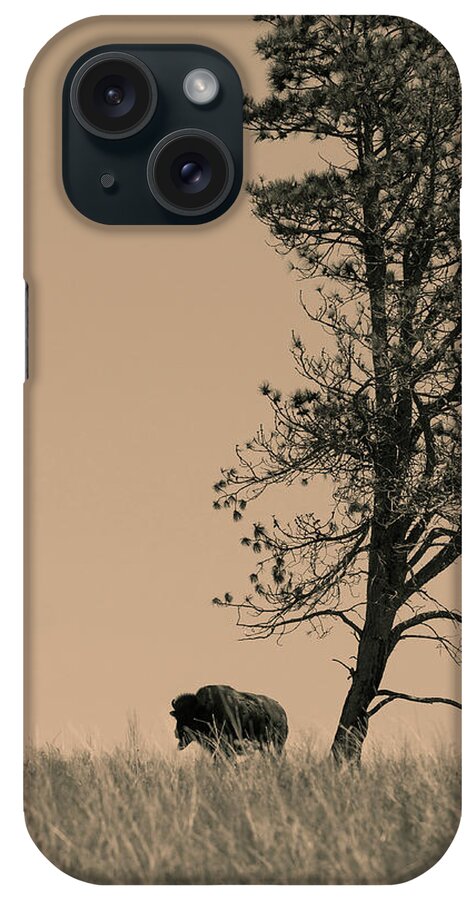 Bison iPhone Case featuring the photograph Lone Bison by Larry Bohlin