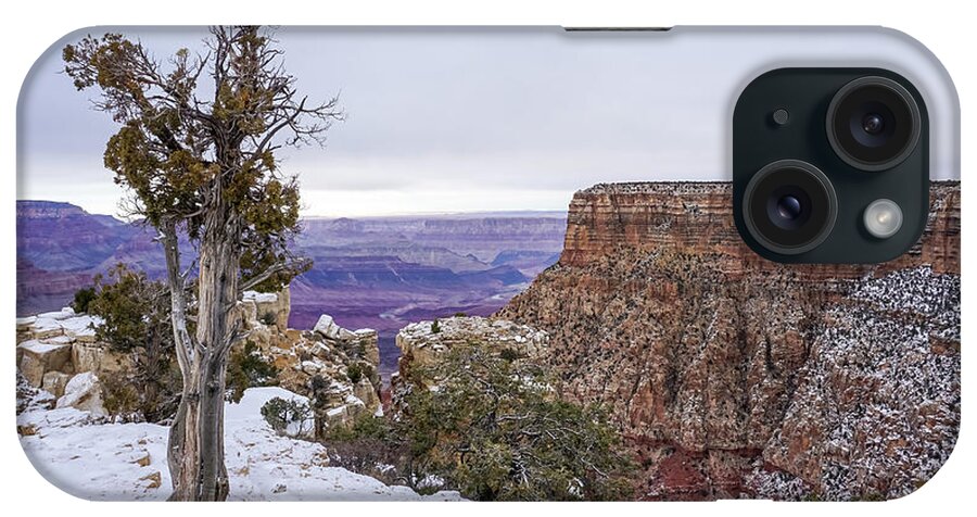 2020 iPhone Case featuring the photograph Lone Bristlecone on a Snowy Day by Dawn Richards