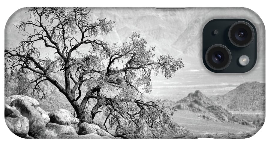  iPhone Case featuring the photograph Lone Tree by Doug Sturgess
