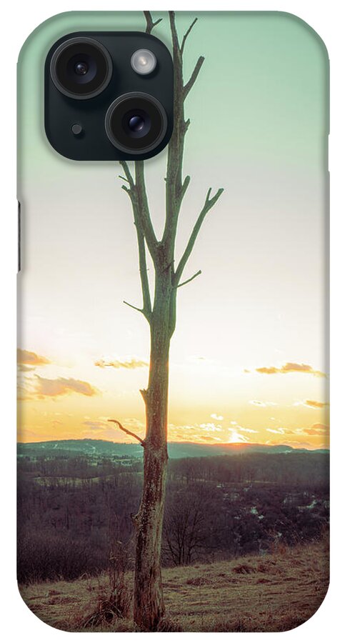 Tree iPhone Case featuring the photograph Lone Winter Tree - Trexler Nature Preserve by Jason Fink