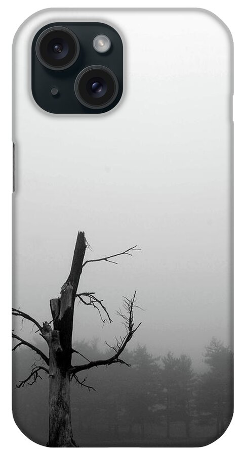 Dying Tree iPhone Case featuring the photograph Loneliness by Harold E McCray