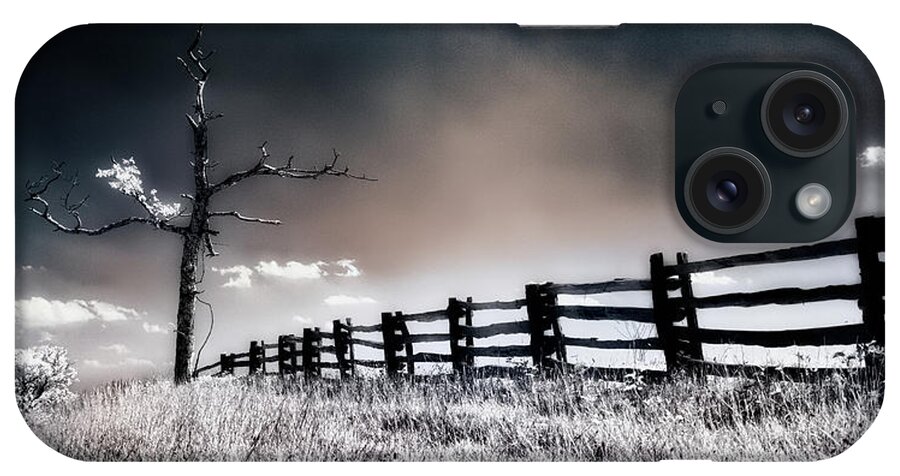 North Carolina iPhone Case featuring the photograph Lonesome Tree bw by Dan Carmichael