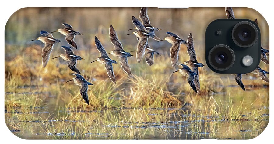 Long-billed Dowitchers iPhone Case featuring the photograph Long-billed Dowitchers 8220-010322-2 by Tam Ryan