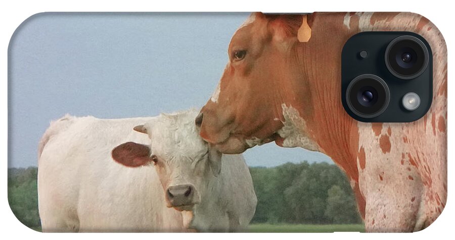 Texas Longhorns Wall Art iPhone Case featuring the photograph Longhorn cow Swallowtail and her bull calf, Outlaw by Cathy Valle