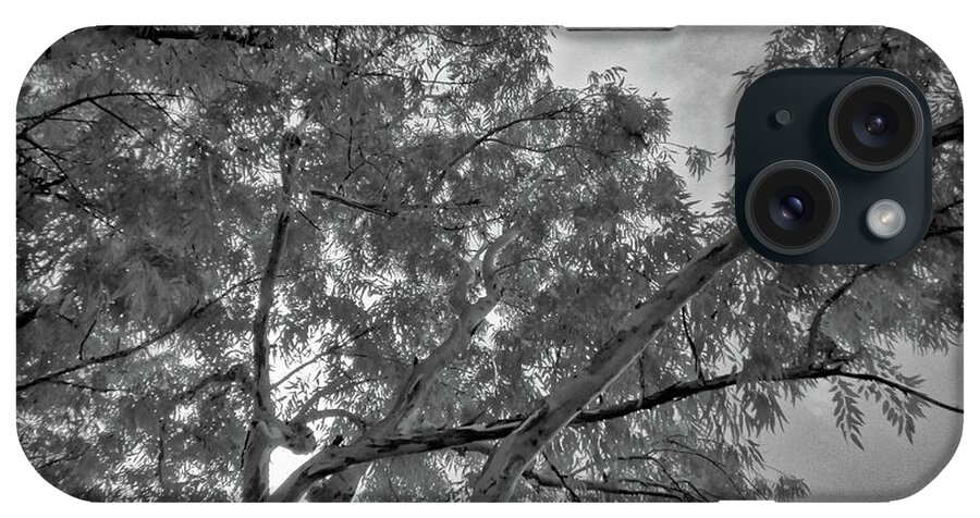 Tree iPhone Case featuring the photograph Looking Up in Black and White Infrared by Alan Goldberg