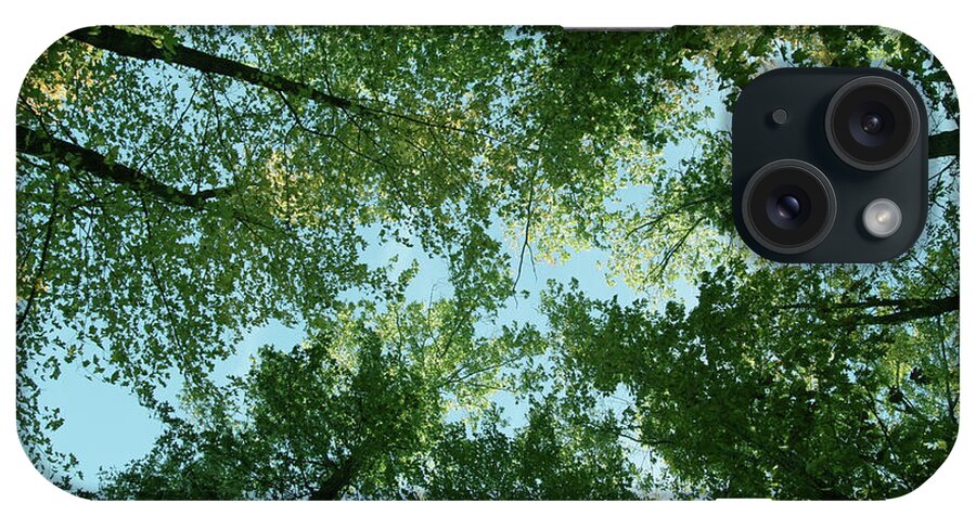 Trees iPhone Case featuring the photograph Looking Up by Terri Harper