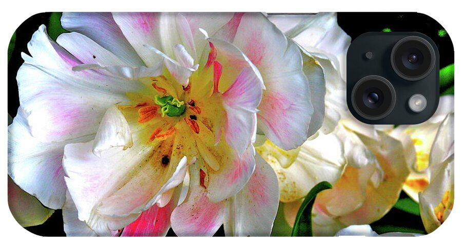 Flower iPhone Case featuring the photograph Looks Delicious by Dorsey Northrup